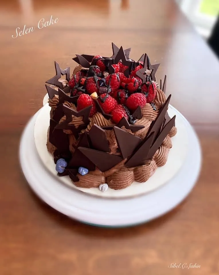 Chocolate Raspberry Cake