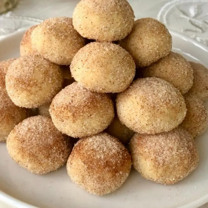 Cinnamon Cookie