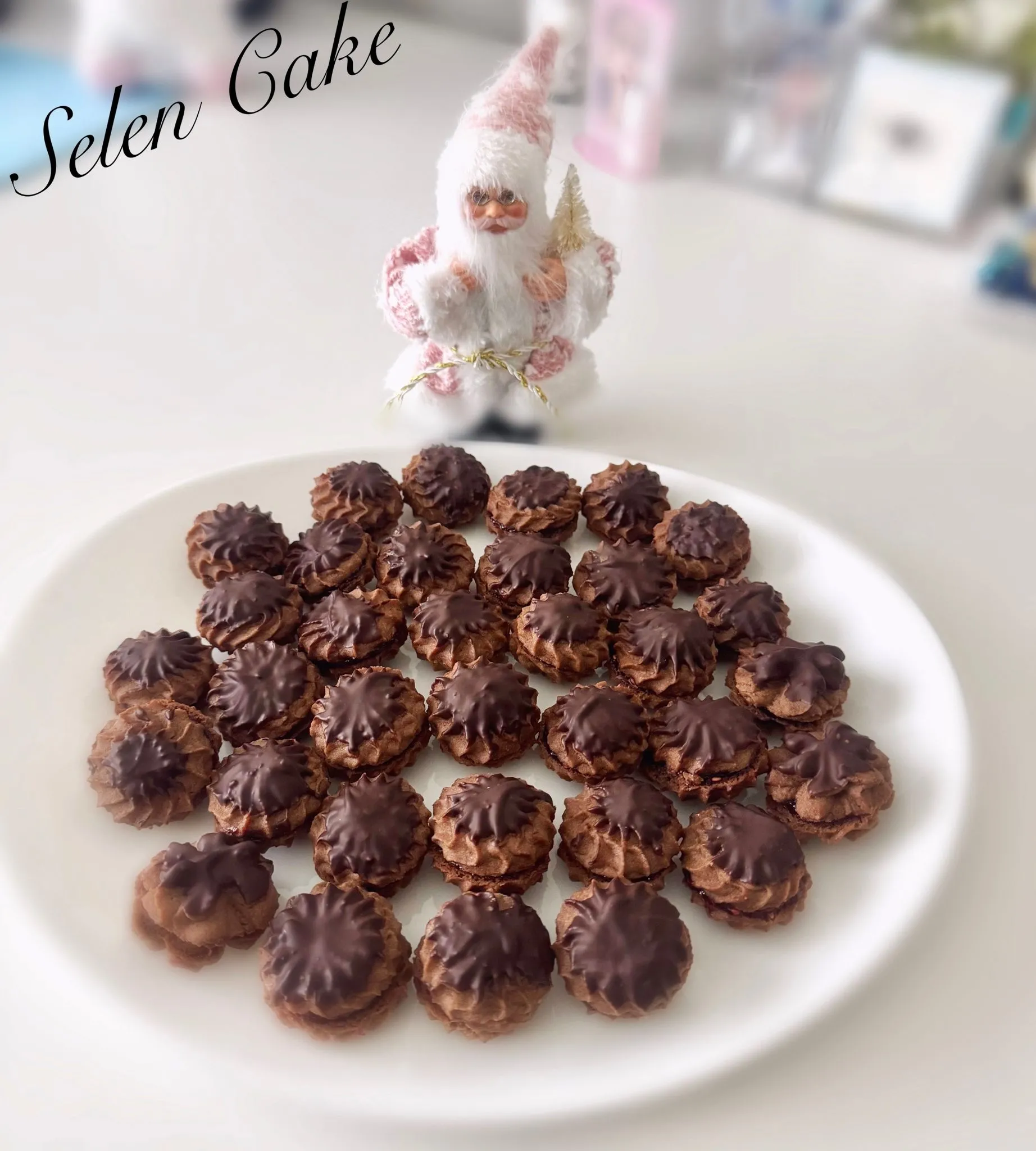 Chocolate Cookie
